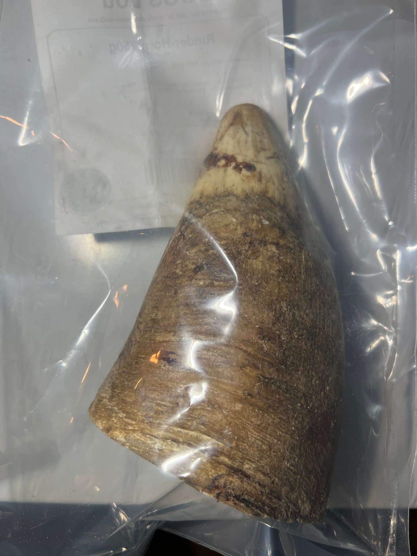 Corne bovin fourrée (250g)